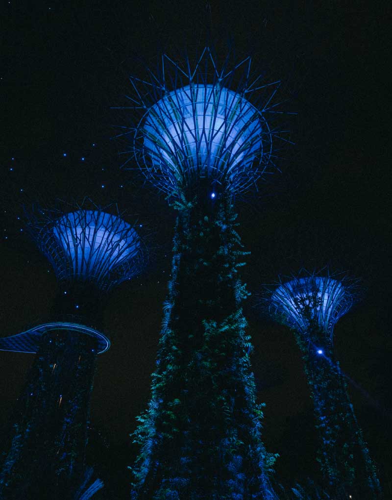 supertrees